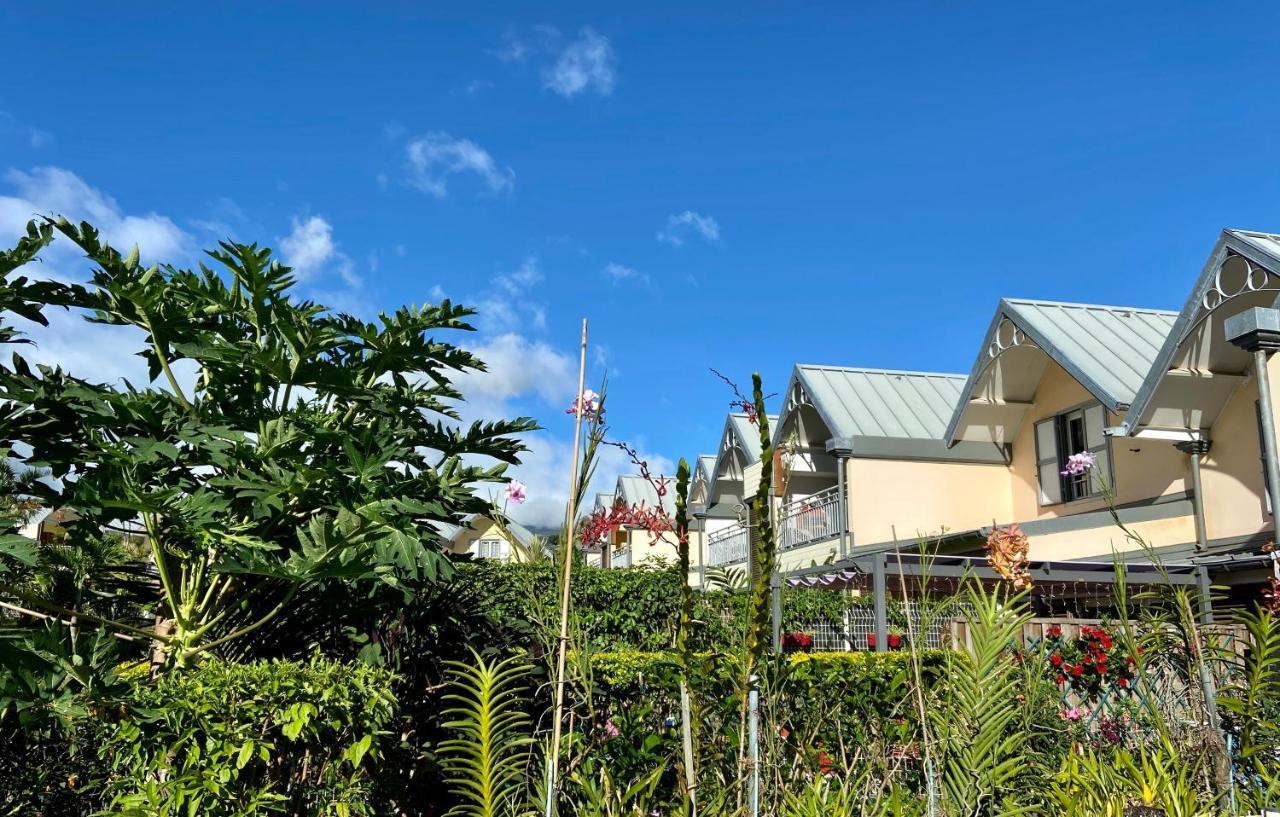 Le Jardin Kerveguen, Calme, Confort Et Deco Unique, Mer A 8 Min, St Pierre-Tampon 400 Le Tampon Kültér fotó