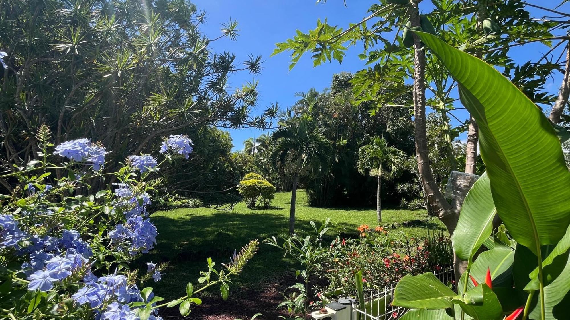 Le Jardin Kerveguen, Calme, Confort Et Deco Unique, Mer A 8 Min, St Pierre-Tampon 400 Le Tampon Kültér fotó
